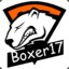 boxer17