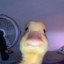 Funky_Duck