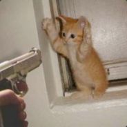 ๖[CoCa]๖c̶h̶a̶i̶m̶a๖[CoCa]๖