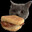biscuit cat