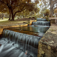 \u667a\u969c\u5c0f\u4ed9\u5973