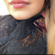 хуйло | VGTU eSports