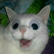 aka加鲁尼尼面包人