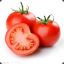 西红柿嘲番茄