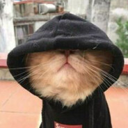 ᴰᶜ‖✞xNeVcio✞ᴘʟ