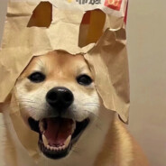 一朵穿裤子的云666