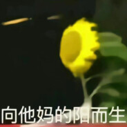 酒糟小圆头圆脑