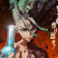 Dr.Stone