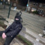 Noorderling
