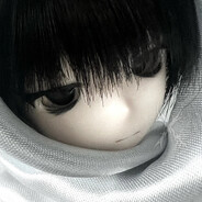 如果我是一只羊