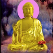 A1高闪！秋梨膏