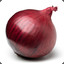 Big Onion