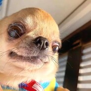 ЖИРТРИКС - steam id 76561199827560853