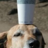 &大会员内测用户 会员信