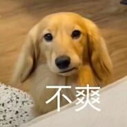 哈吉壮