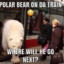 polar bear on da train