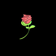 503Rosey