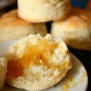 BrassBiscuit