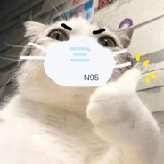 ⫍ ⃢ ⫎有两只猫的三桥