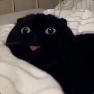 苏山抚河半向晚