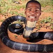 El Snake