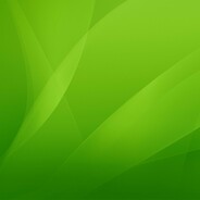 --------------------------------