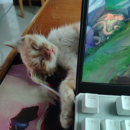 Why you bully me ？