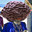 prunejabi's Avatar