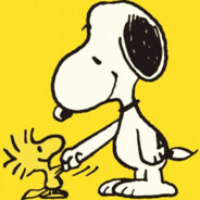 一点不吹，我有点强