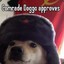 Comrade Doggo