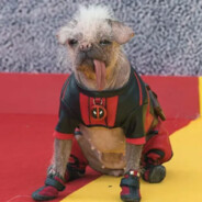 CHICHARRONSITO PRENSADO