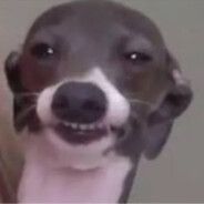 DoggyDogg`