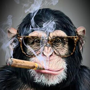 monkey