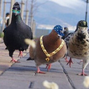 Давид Степанов