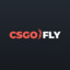 Acron1s CSGOFLY.COM