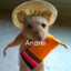 Andy