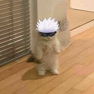 Catoru