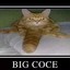 big coce