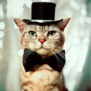 MisterCatler avatar