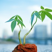 ПОДВОПРОСНИК