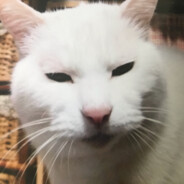 初心者のおっさん