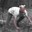 piGMAN