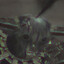 Avatar of nihilista misantropo