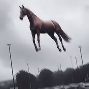 下个礼拜你有空吗