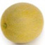 Melon