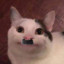 Falker