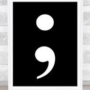 TheSemiColon