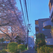 一千万是小目标