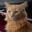 ✪ Mylo