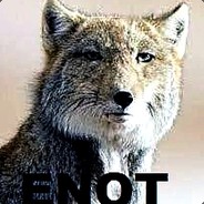 ENOT - steam id 76561197970982567
